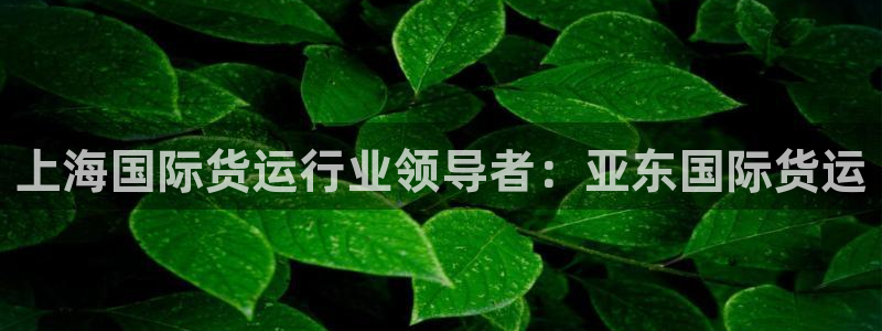 尊龙 国外：上海国际货运行业领导者：亚东国际货运