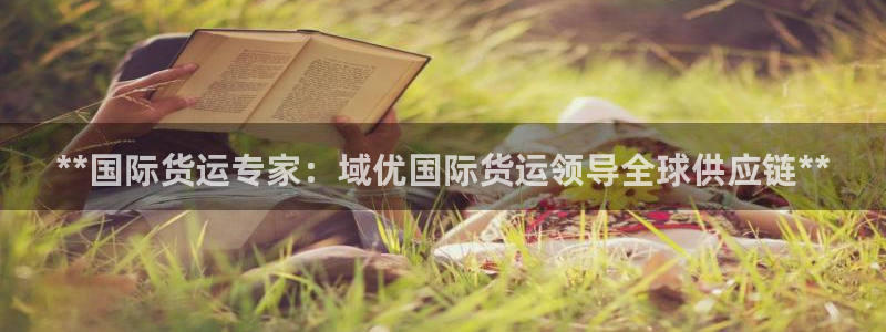 尊龙集团有限公司官网地址：**国际货运专家：域优国际货运