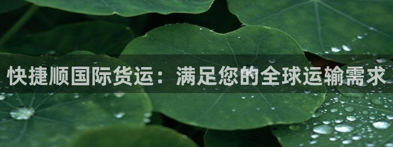尊龙ag旗舰厅登陆：快捷顺国际货运：满足您的全球运输需求