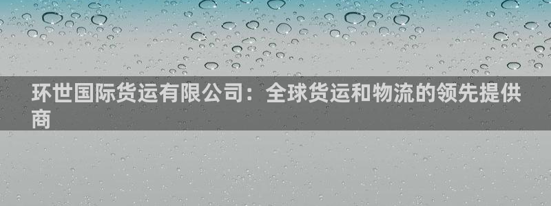 尊龙凯时贴吧：环世国际货运有限公司：全球货运和物流的领先