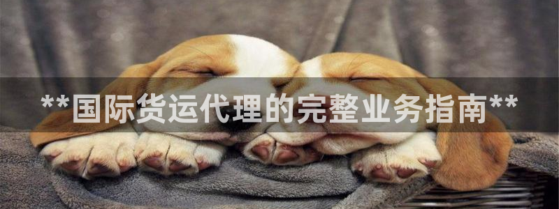 z6com尊龙：**国际货运代理的完整业务指南**