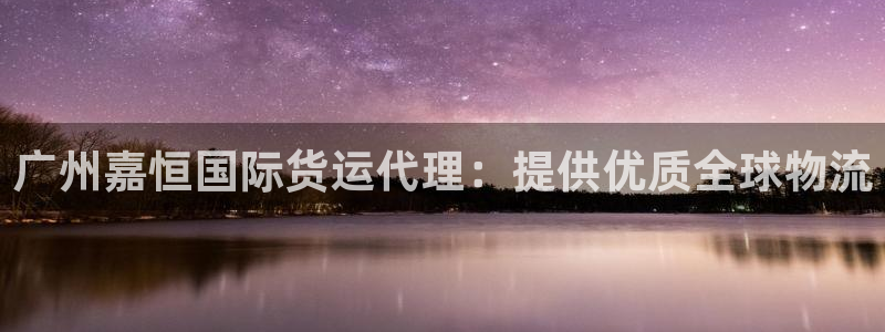 尊龙王t400：广州嘉恒国际货运代理：提供优质全球物流
