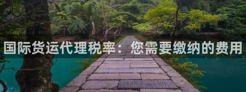 尊龙网站 人生就是博：国际货运代理税率：您需要缴纳的费用