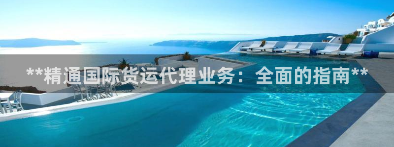 尊龙凯时logo：**精通国际货运代理业务：全面的指南*