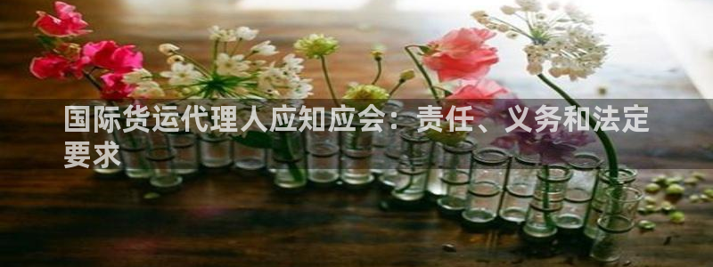 尊龙凯时 人生就是搏客服：国际货运代理人应知应会：责任、