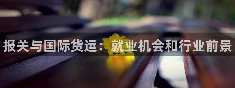 尊龙体育游戏平台：报关与国际货运：就业机会和行业前景
