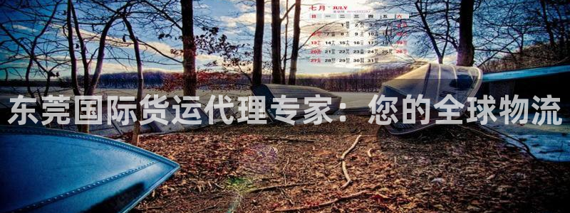 尊龙d88ag官方网站：东莞国际货运代理专家：您的全球物