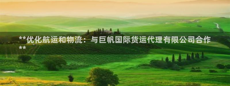 尊龙凯时平台怎么样：**优化航运和物流：与巨帆国际货运代