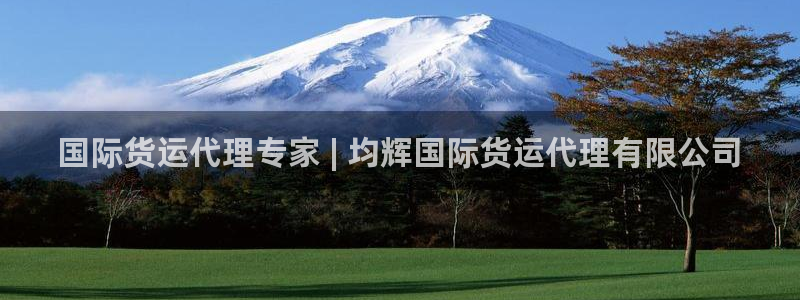 尊龙凯时老板：国际货运代理专家 | 均辉国际货运代理有限