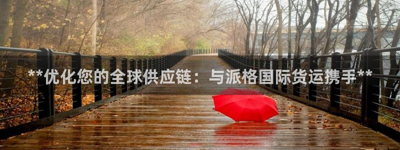 尊龙 中国：**优化您的全球供应链：与派格国际货运携手*