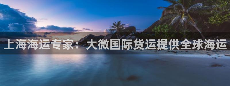 z6尊龙官方网站：上海海运专家：大微国际货运提供全球海运