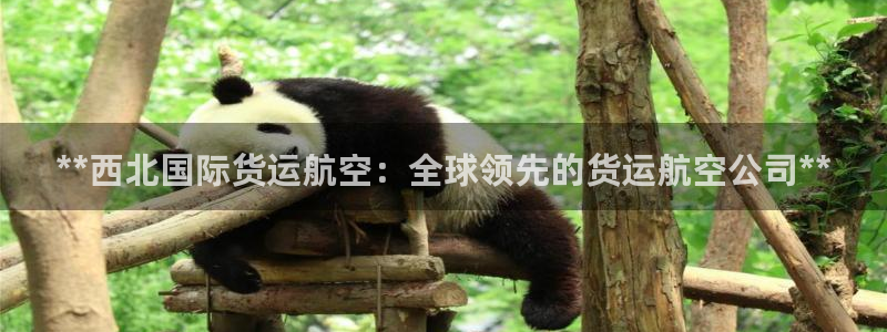 尊龙凯时返现：**西北国际货运航空：全球领先的货运航空公