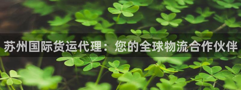 尊龙游戏官方网：苏州国际货运代理：您的全球物流合作伙伴