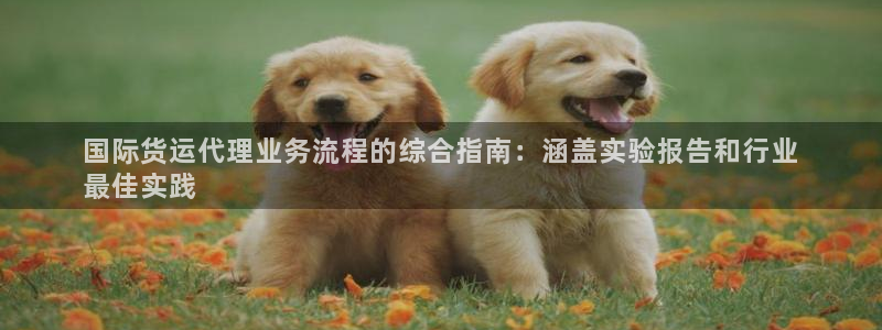 尊龙凯时网站登录：国际货运代理业务流程的综合指南：涵盖实