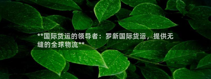 尊龙人生就是博现金：**国际货运的领导者：罗新国际货运，