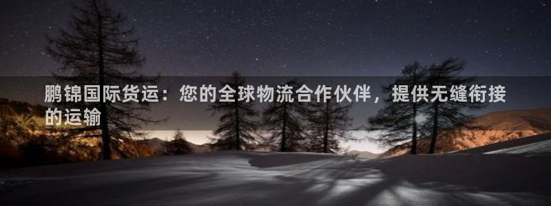 尊龙凯时麻将胡了：鹏锦国际货运：您的全球物流合作伙伴，提