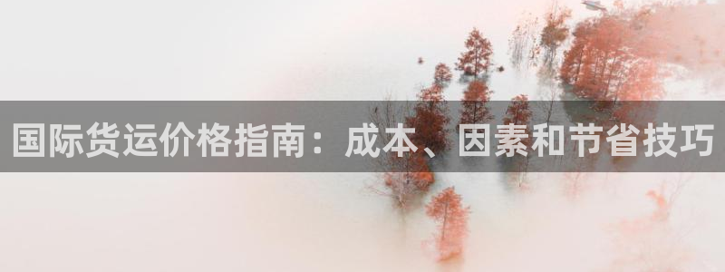 尊龙凯时游戏厅：国际货运价格指南：成本、因素和节省技巧