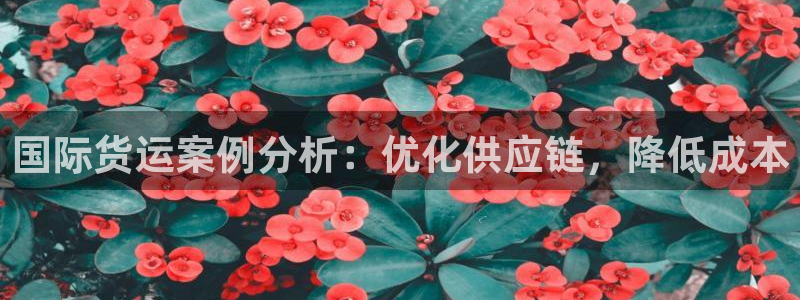 尊龙凯时不给提款：国际货运案例分析：优化供应链，降低成本