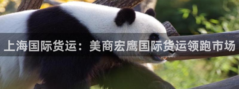 尊龙z6.con：上海国际货运：美商宏鹰国际货运领跑市场