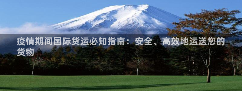 尊龙凯时有限公司：疫情期间国际货运必知指南：安全、高效地