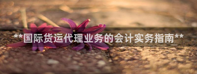 尊龙凯时平台信誉怎样：**国际货运代理业务的会计实务指南