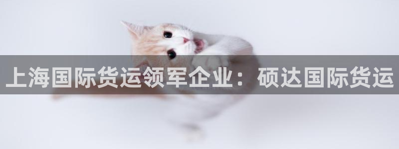 尊龙新版官网网页版：上海国际货运领军企业：硕达国际货运