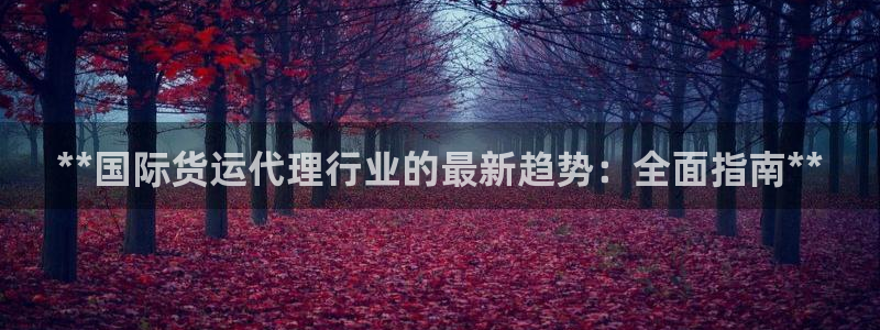 尊龙新版人生就是博!：**国际货运代理行业的最新趋势：全