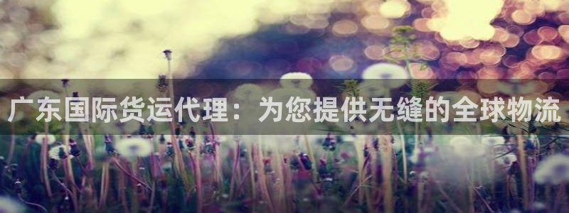 尊龙新版手机app下载：广东国际货运代理：为您提供无缝的