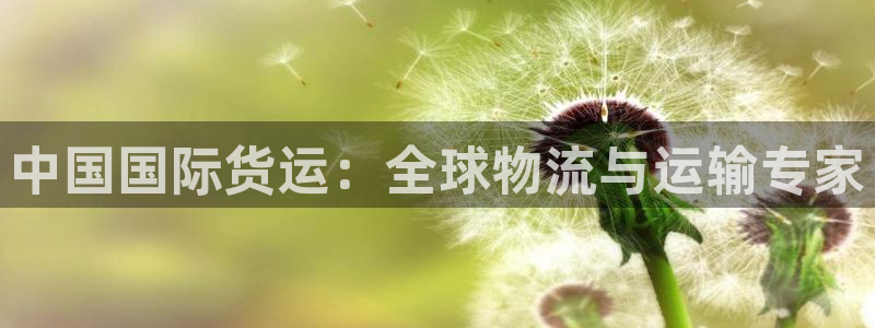 尊龙凯时电竞注册：中国国际货运：全球物流与运输专家