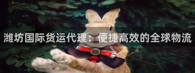 尊龙官网免费下载安装：潍坊国际货运代理：便捷高效的全球物