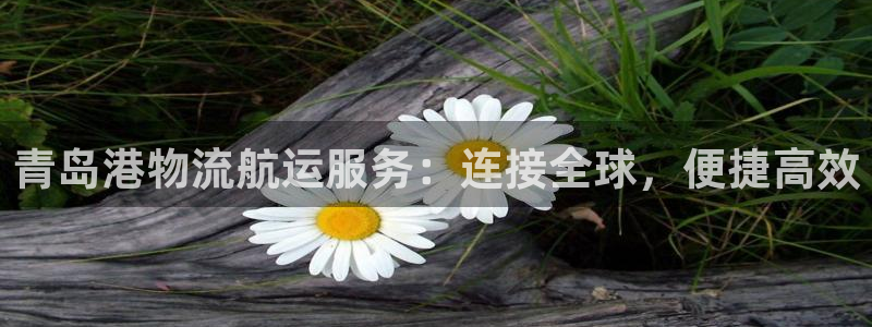 尊龙凯时人生就是博·(中国)官网最新：青岛港物流航运服务