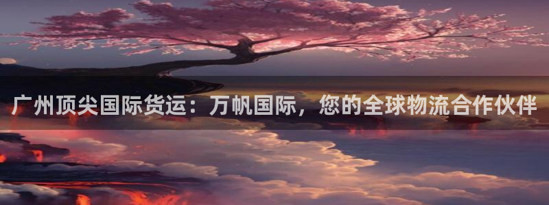 尊龙2020：广州顶尖国际货运：万帆国际，您的全球物流合