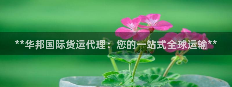 尊龙凯时官网网址：**华邦国际货运代理：您的一站式全球运