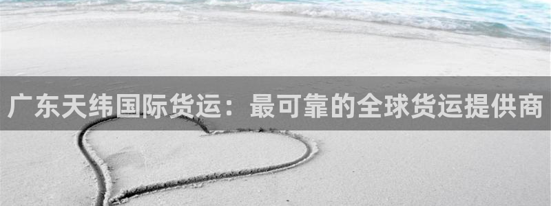 尊龙凯时里面的洗码：广东天纬国际货运：最可靠的全球货运提