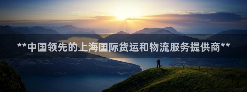尊龙,人生就是博!登录国际：**中国领先的上海国际货运和
