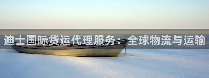 尊龙官网免费下载安卓：迪士国际货运代理服务：全球物流与运