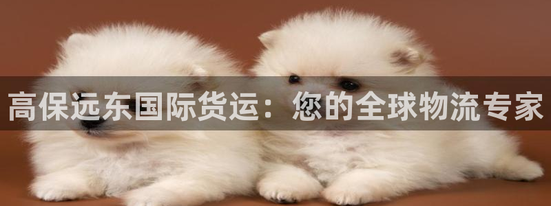 尊龙凯时几百万怎么下：高保远东国际货运：您的全球物流专家