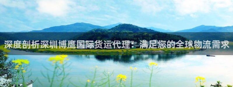 尊龙人生就是博官：深度剖析深圳博鹰国际货运代理：满足您的