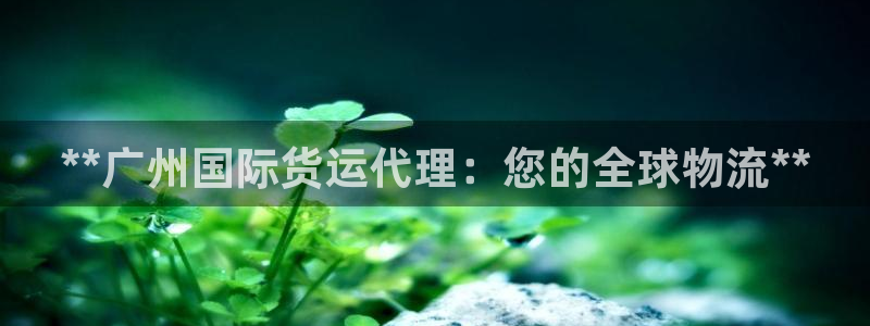尊龙游戏官网：**广州国际货运代理：您的全球物流**