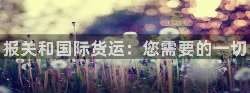 尊龙凯时请求参数不符合：报关和国际货运：您需要的一切