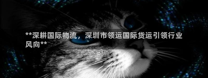 尊龙凯时网站不让提款：**深耕国际物流，深圳市领运国际货