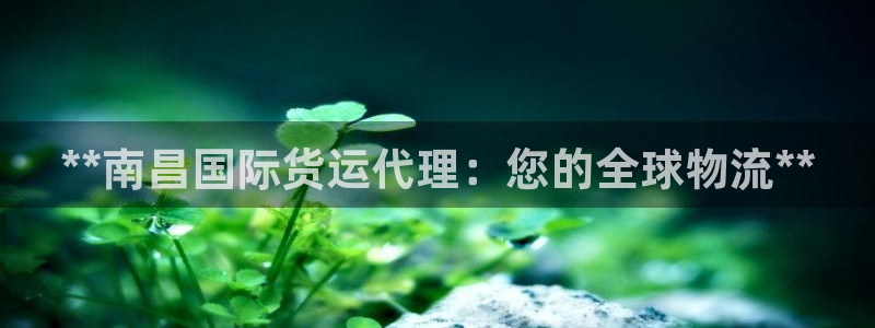 尊龙百度百科：**南昌国际货运代理：您的全球物流**