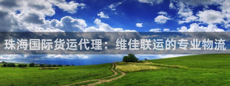 尊龙凯时平台官网：珠海国际货运代理：维佳联运的专业物流