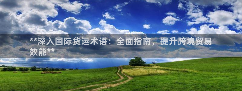 尊龙凯时下载官方正版：**深入国际货运术语：全面指南，提