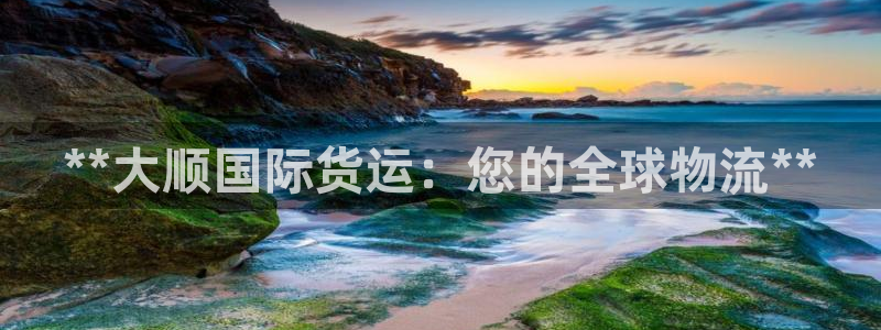 尊龙凯时人生就是搏!官网：**大顺国际货运：您的全球物流