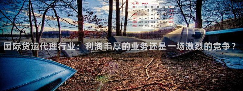 尊龙凯时注册入口：国际货运代理行业：利润丰厚的业务还是一