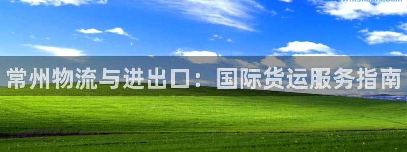 尊龙集团有限公司官网地址：常州物流与进出口：国际货运服务