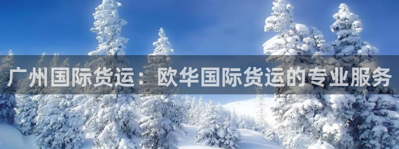尊龙官方平台是正品吗：广州国际货运：欧华国际货运的专业服