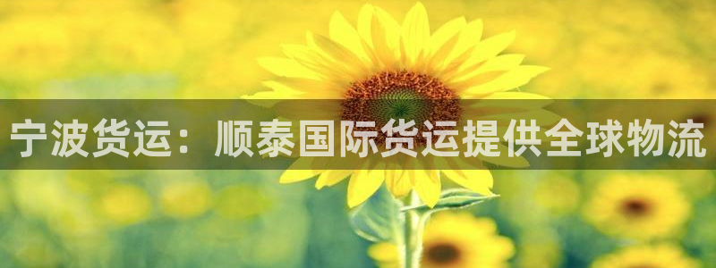 尊龙手机版：宁波货运：顺泰国际货运提供全球物流
