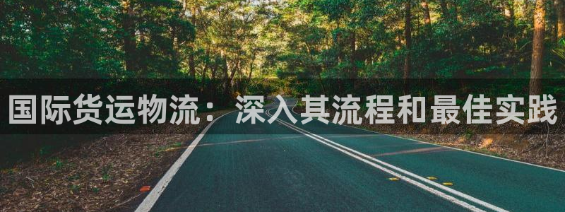 尊龙ag旗舰厅下载：国际货运物流：深入其流程和最佳实践